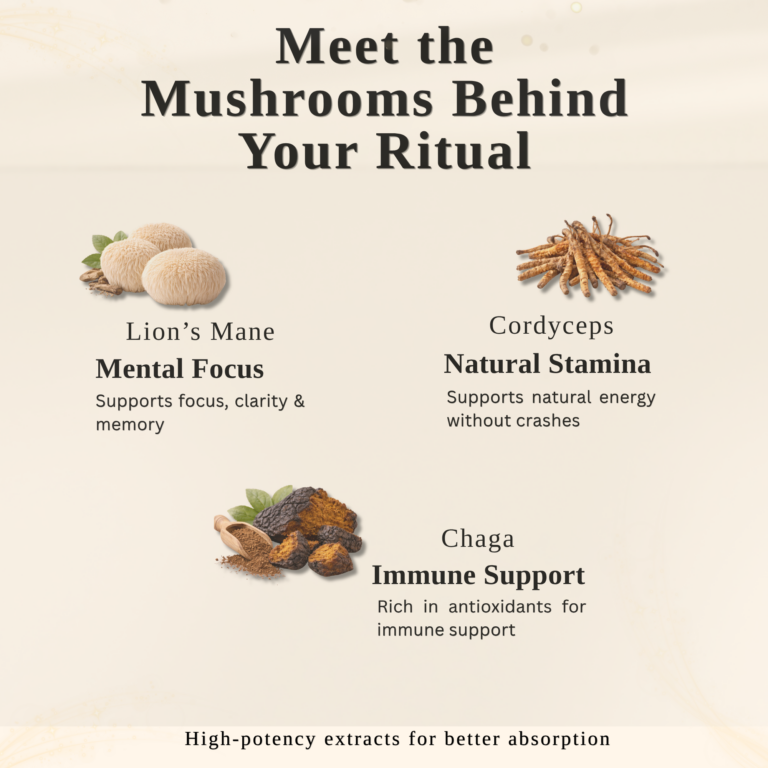 The Mushrooms Behind Your Ritual (2000 x 2000 px)