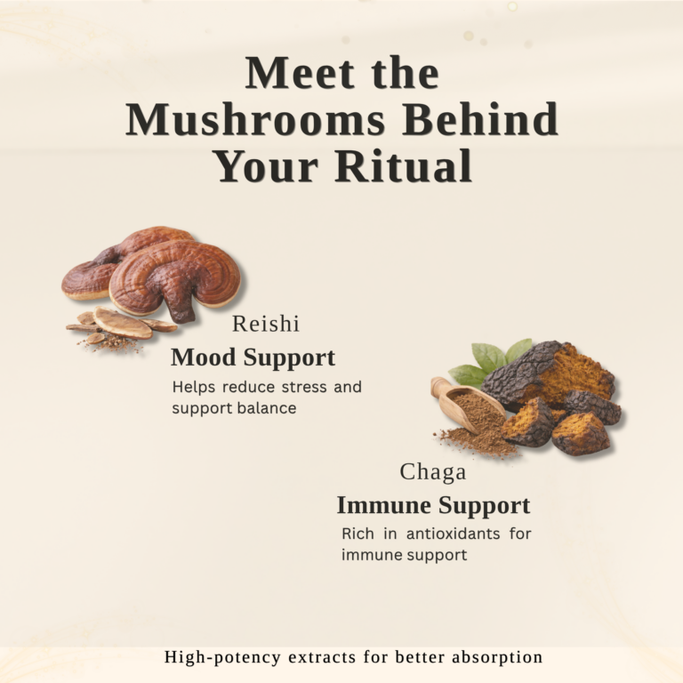The Mushrooms Behind Your Ritual (2000 x 2000 px) (1)